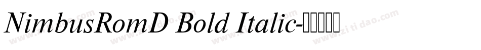 NimbusRomD Bold Italic字体转换